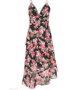 Shopbop OPT Floral Robin Dress